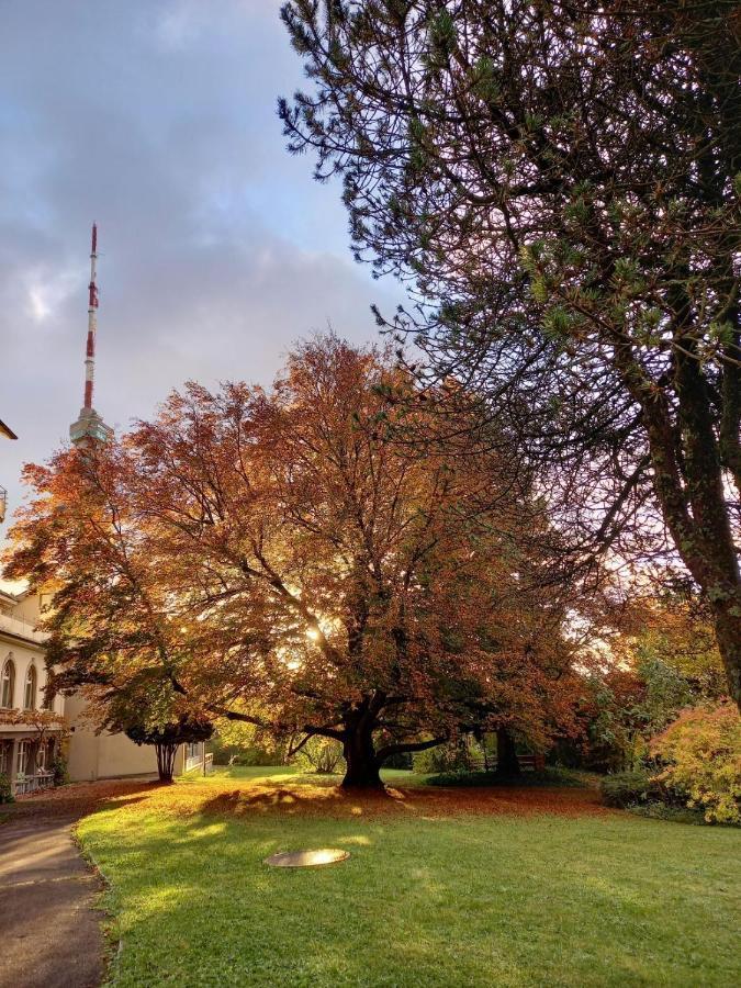 Chrischona Berg Otel Bettingen Dış mekan fotoğraf